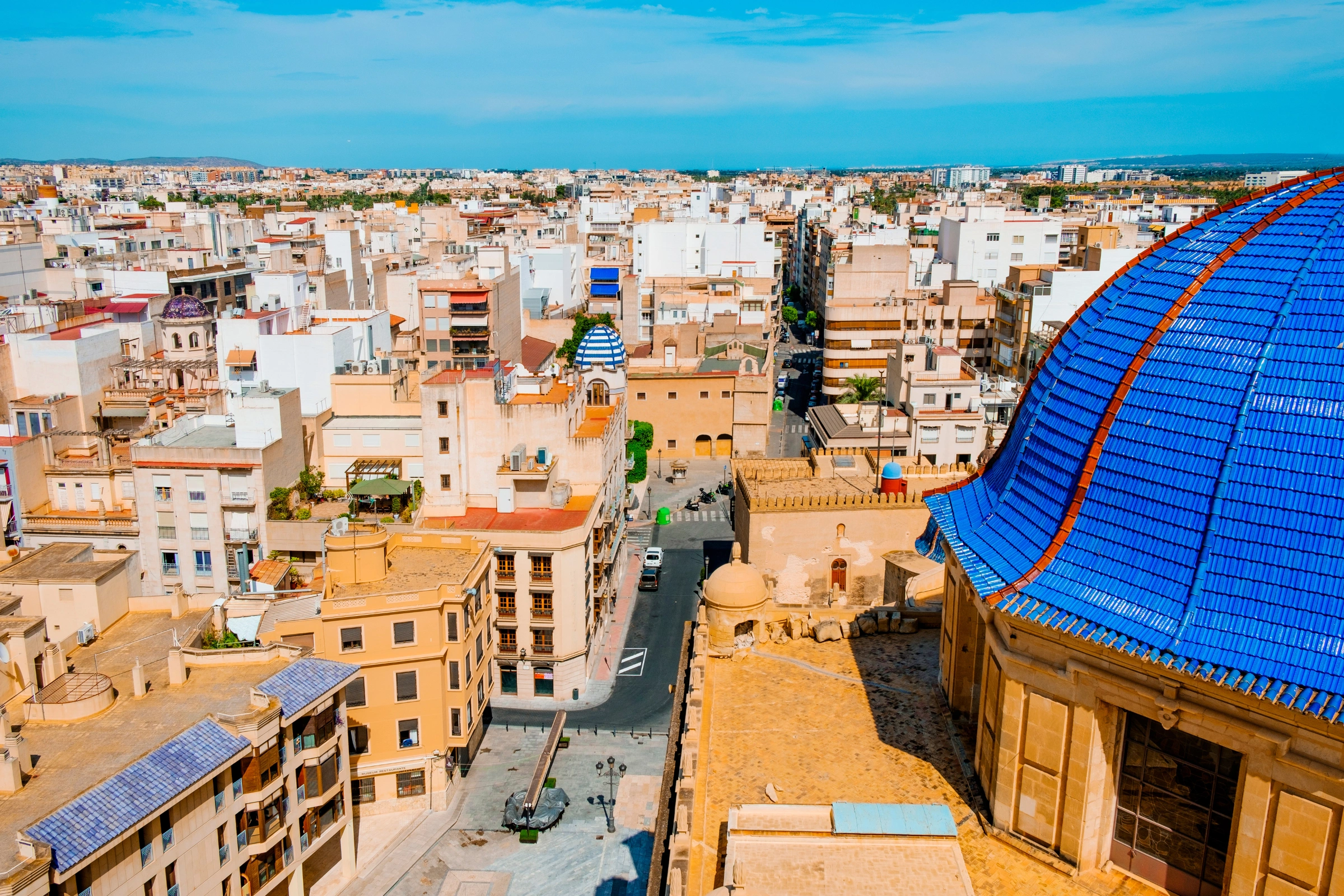 Elche[1].webp